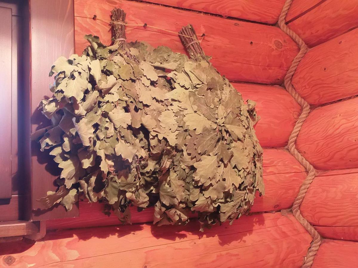 Family Green Sasovka  المظهر الخارجي الصورة